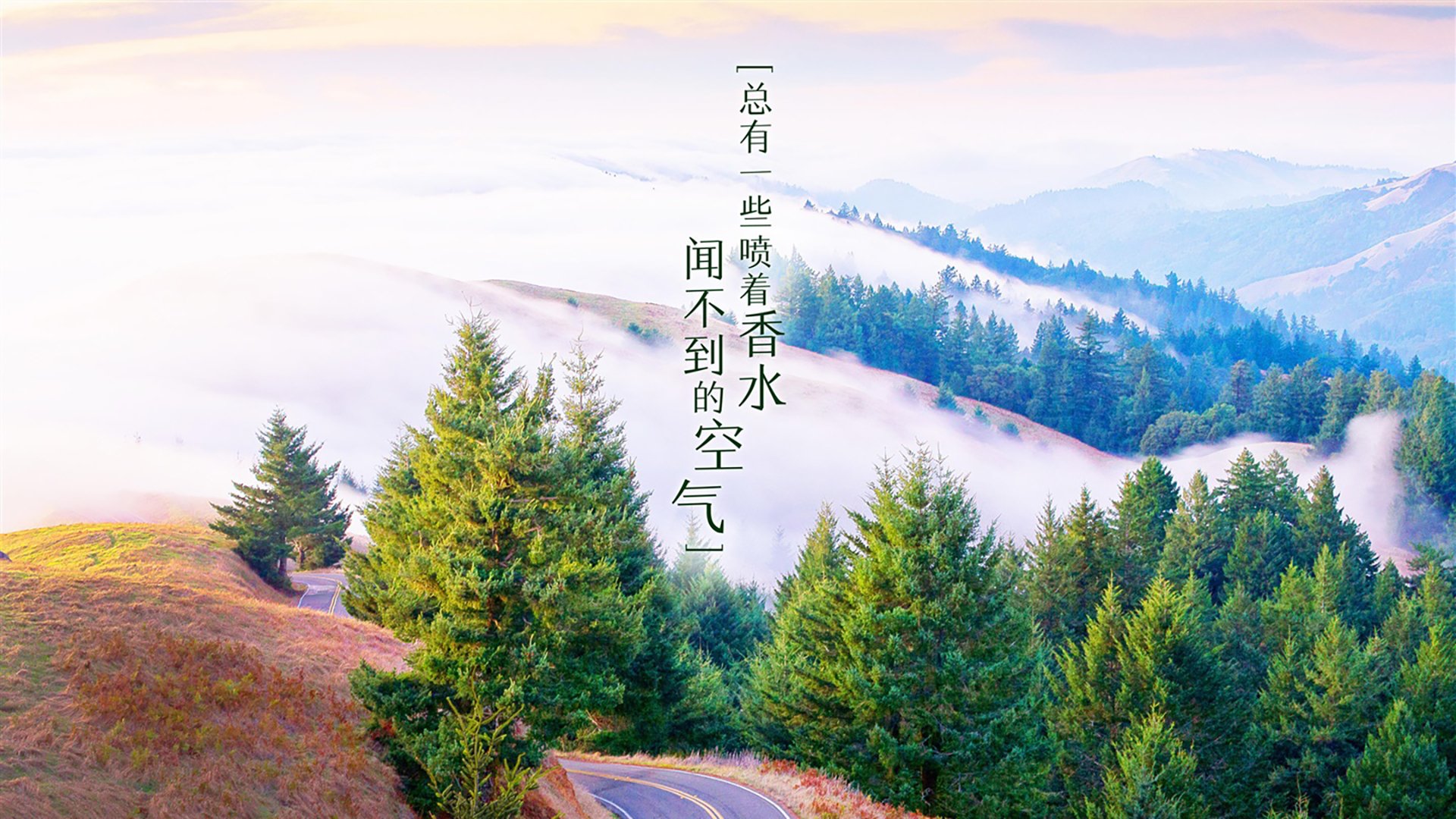 世界短道速滑锦标赛创新技术应用，助推比赛公平，世界短道速滑比赛视频