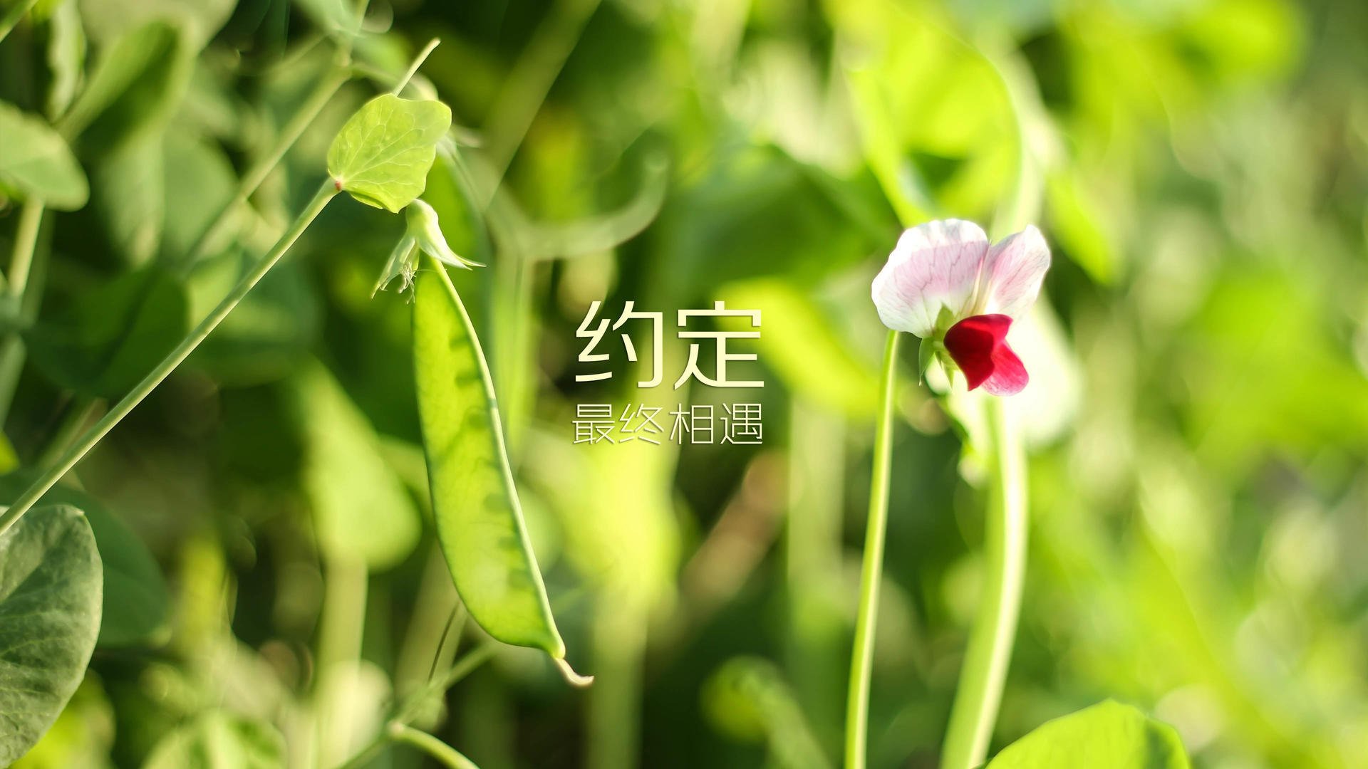 全国青少年攀岩赛在贵州开赛，年轻军团展风采，2021年全国青少年攀岩锦标赛