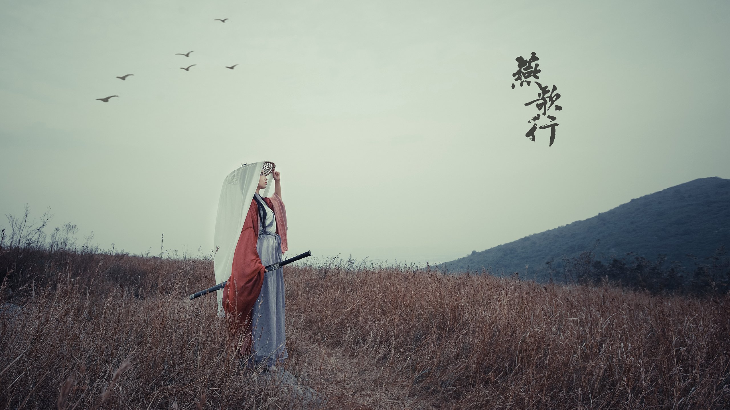 篮球场馆资源调配是否合理高效，篮球场馆的经营与管理