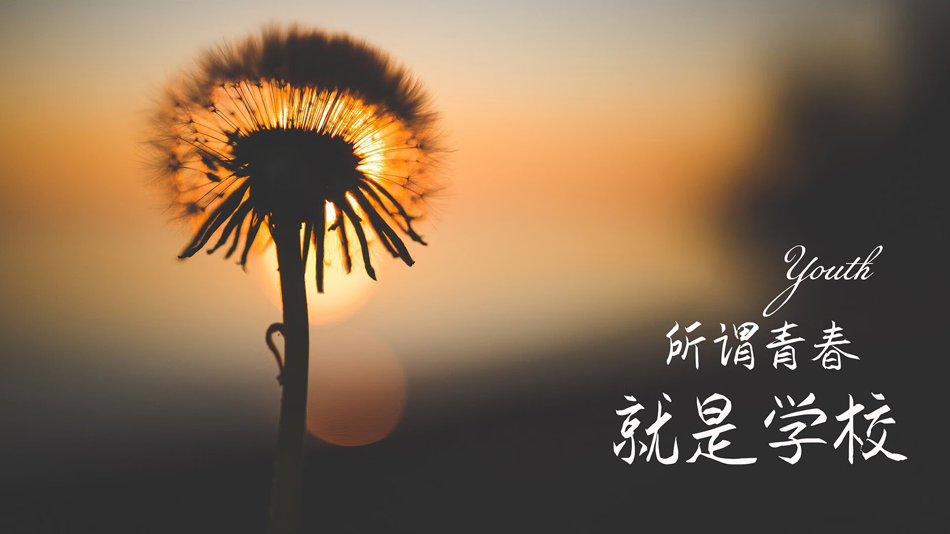 米兰全站app登录app-罗马尼亚队赛制调整与执行：团体赛中的最佳战术组合，罗马尼亚球队怎么样