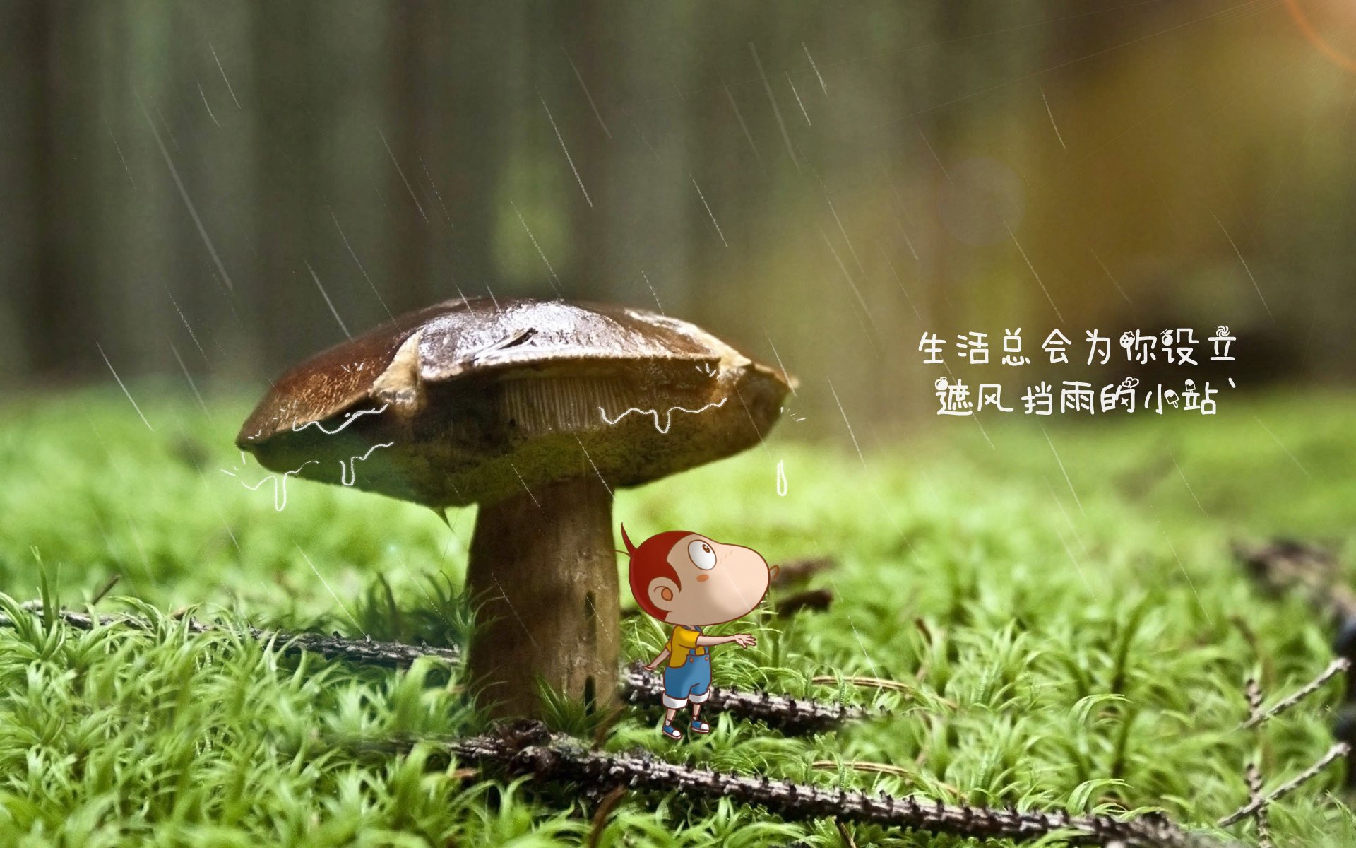 国际足球巨星加盟中超引发热议，国际足球巨星加盟中超引发热议的原因