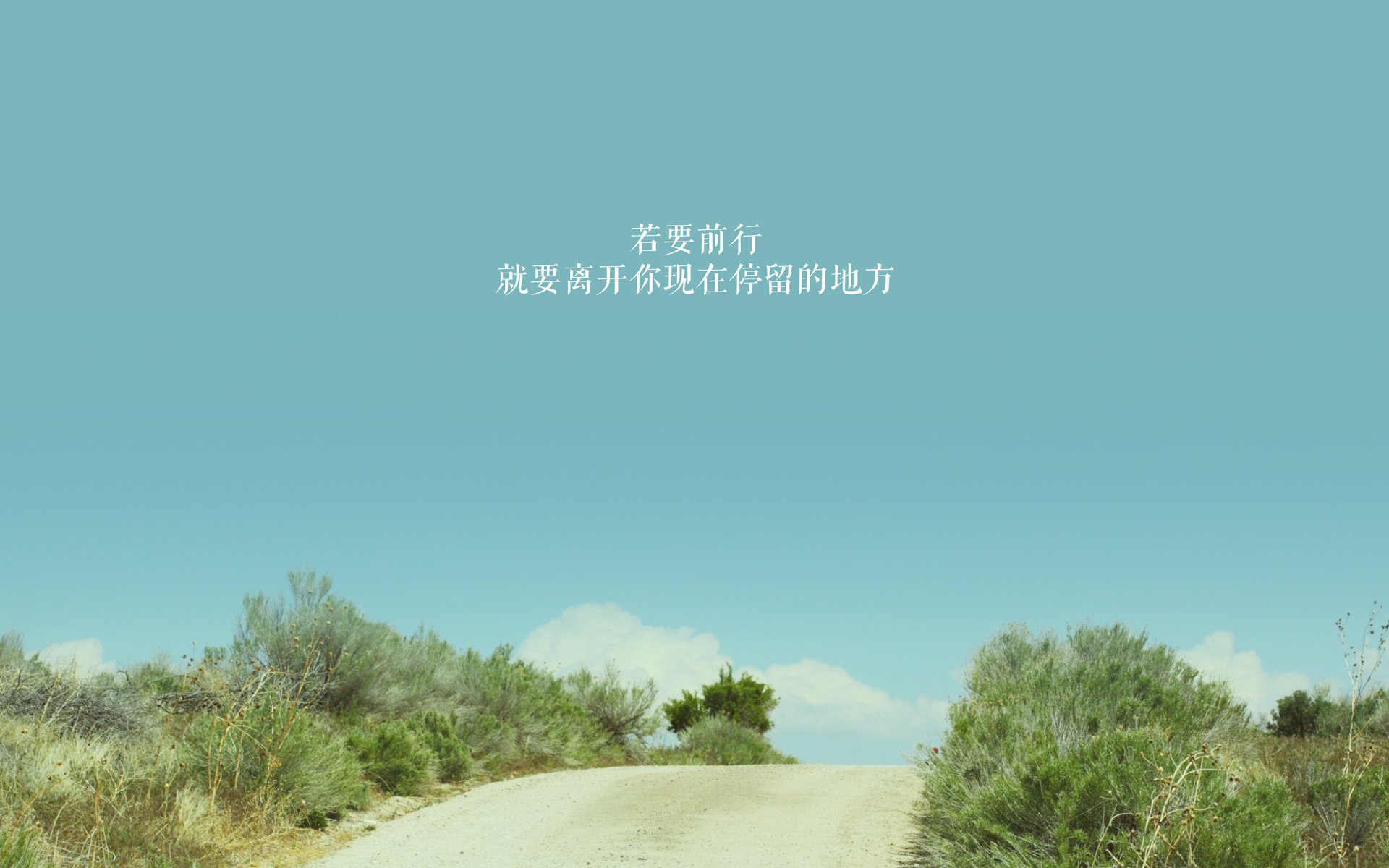 数字化裁判员培训平台获得行业高度认可，提升裁判水平，裁判认证系统